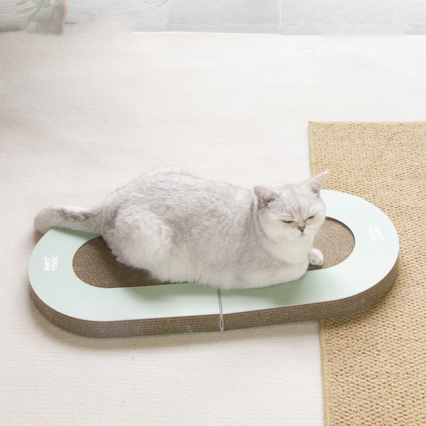 Tábua de agarrar para gatos dobrável de papel ondulado com bola, suprimentos para animais de estimação, brinquedos para gatos, produtos para animais de estimação