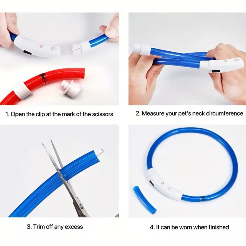 led collar